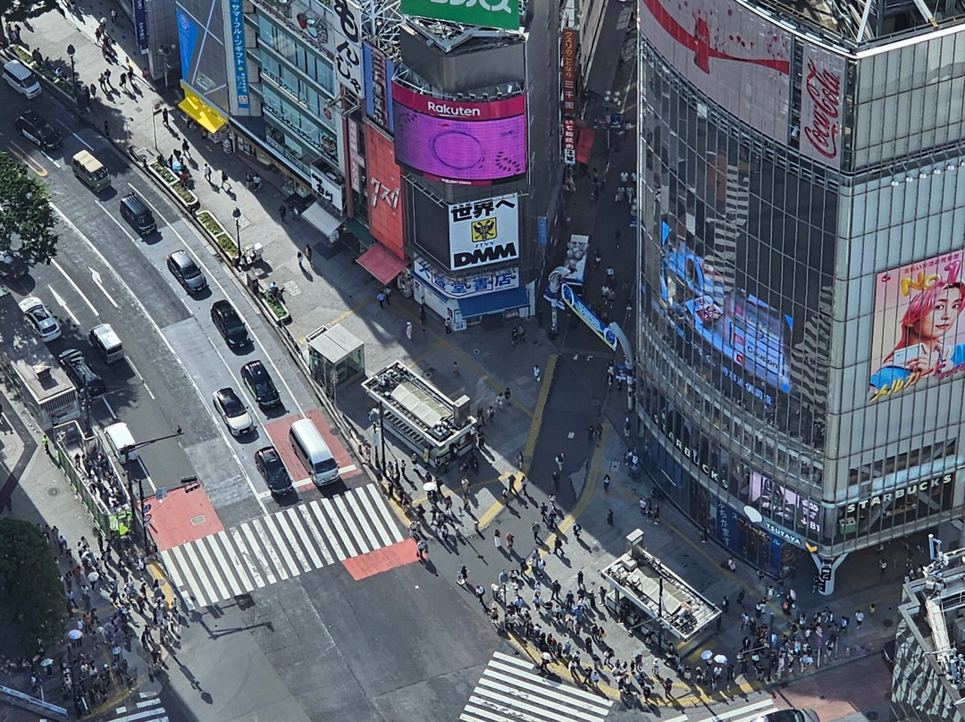 Shibuya Sky-涩谷区必去景点