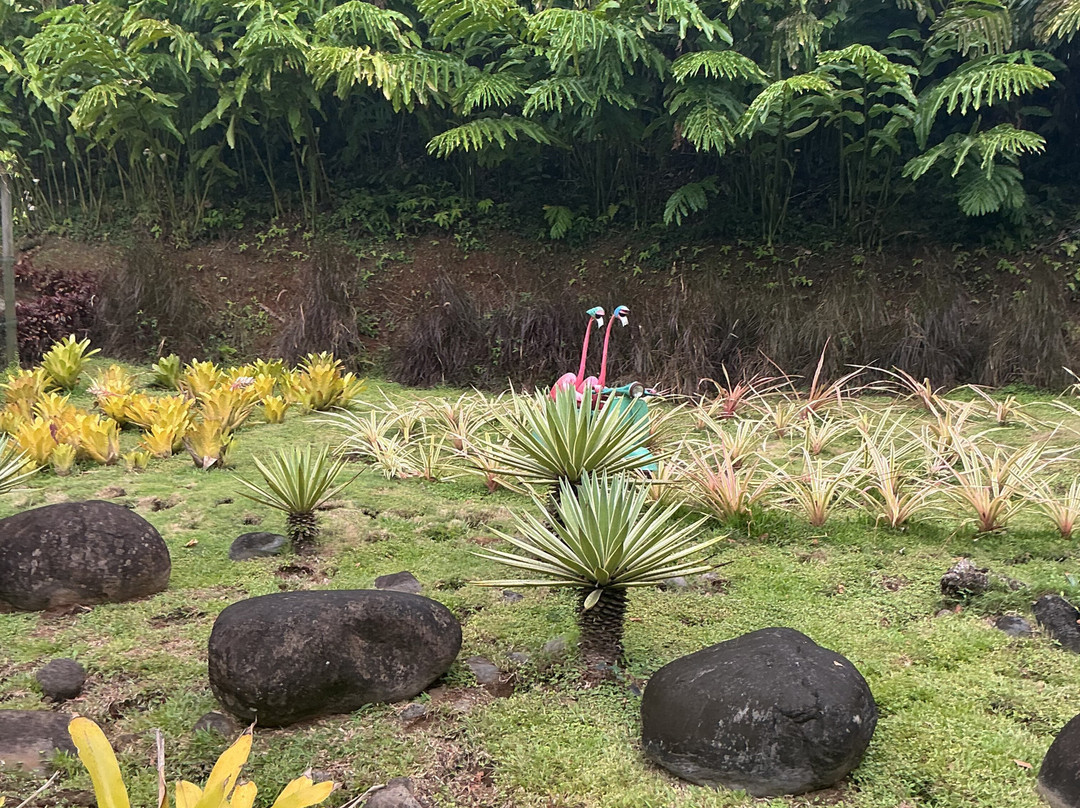 Jardin Botanique de Valombreuse-Petit-Bourg必去景点