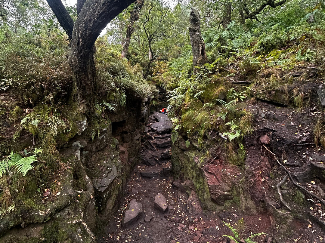 Lud's Church-Gradbach必去景点