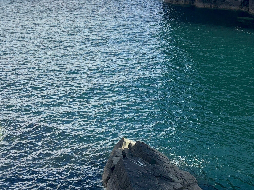 Whaligoe Steps-Whaligoe必去景点