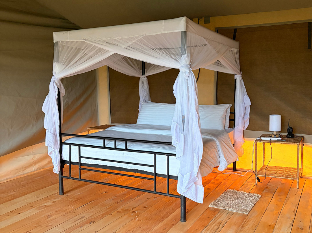 Sero Tented Camp-Seronera必去景点