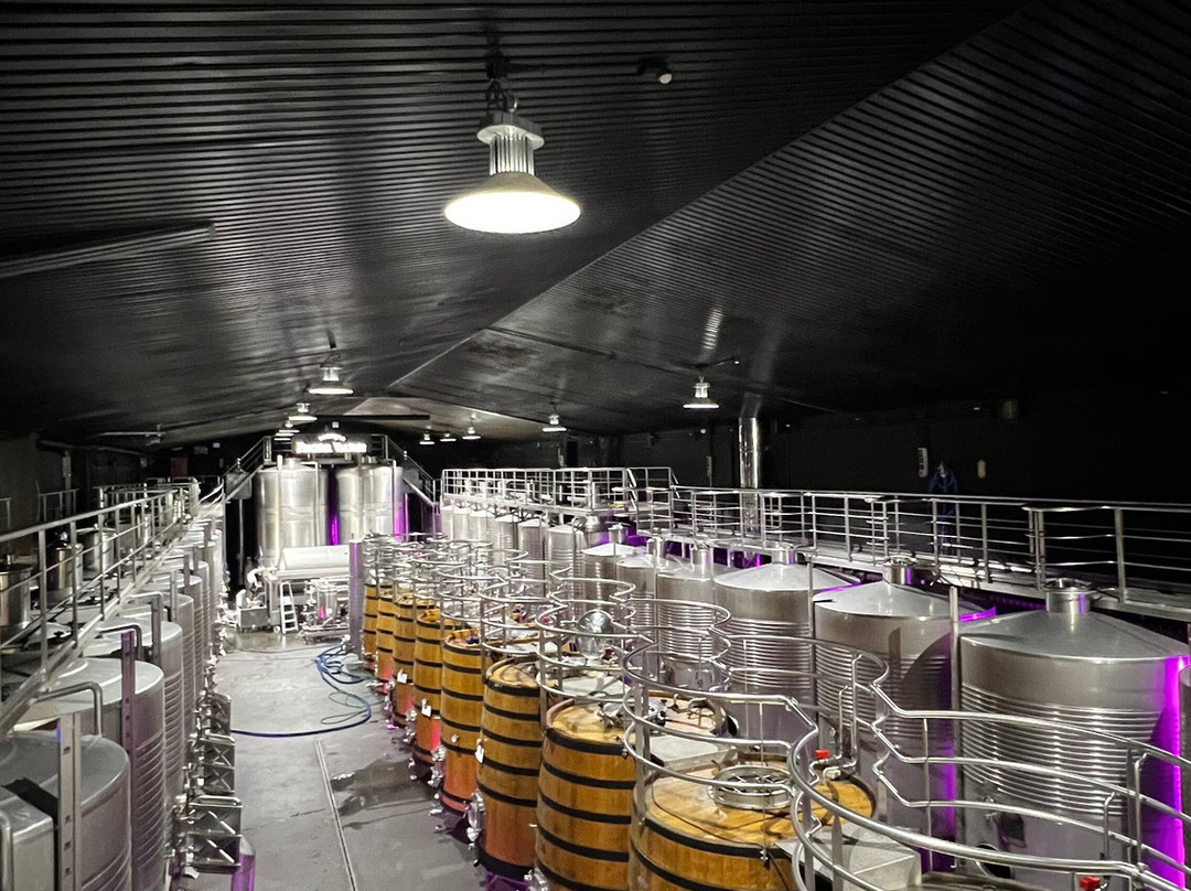 Bodegas Regina Viarum-Sober必去景点