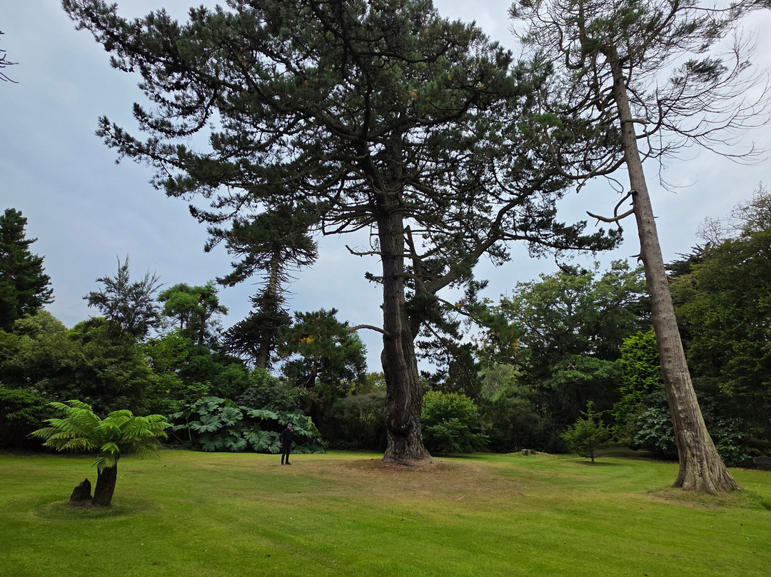 Logan House Gardens-Port Logan必去景点