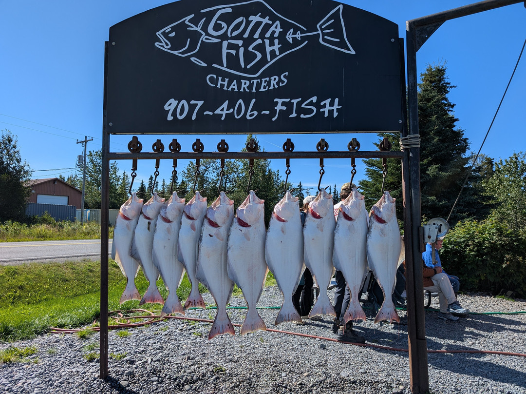 Gotta Fish Charters-尼尔奇克必去景点