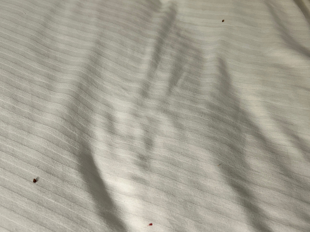 贝灵厄姆拉昆塔温德姆套房酒店主图