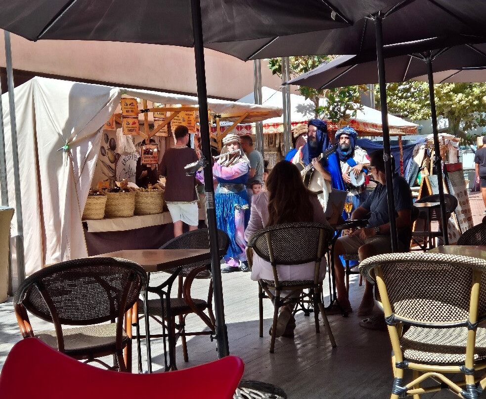 Mercat Medieval ( Medieval Market  )-萨洛必去景点