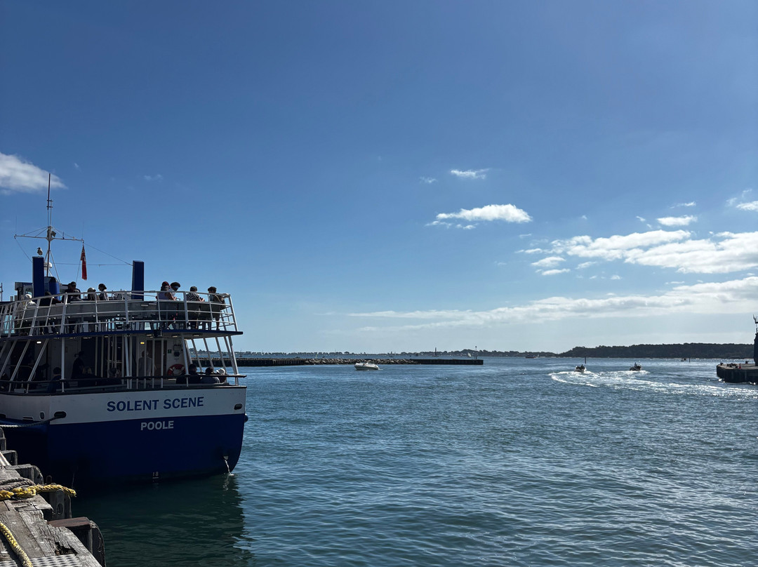 Birds Of Poole Harbour Events-普尔必去景点