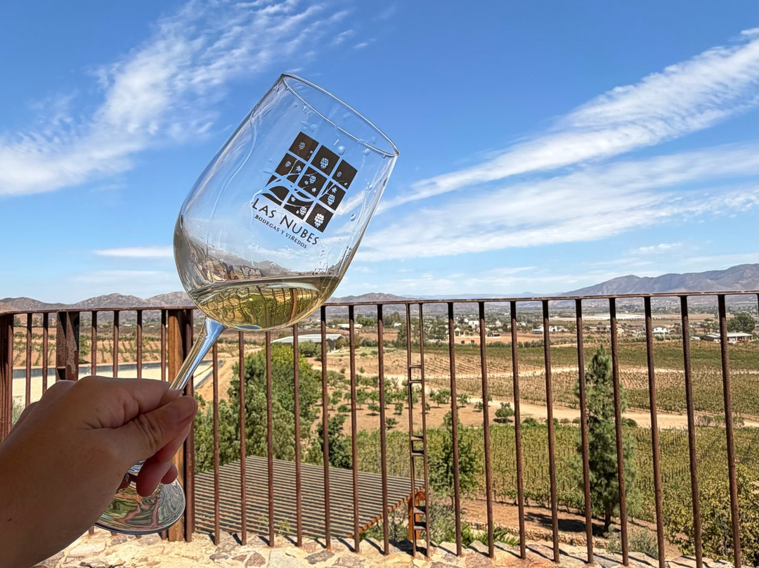 Las Nubes Bodegas y Viñedos-Valle de Guadalupe必去景点