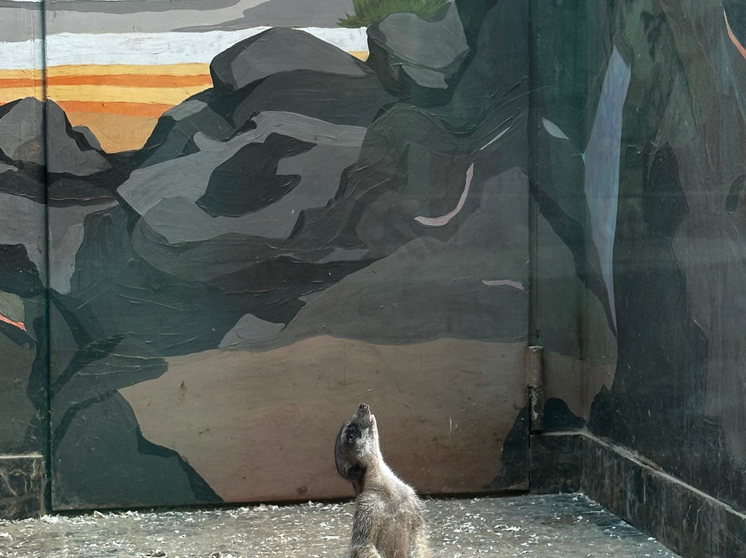 Belgorod Zoo-Belgorod必去景点
