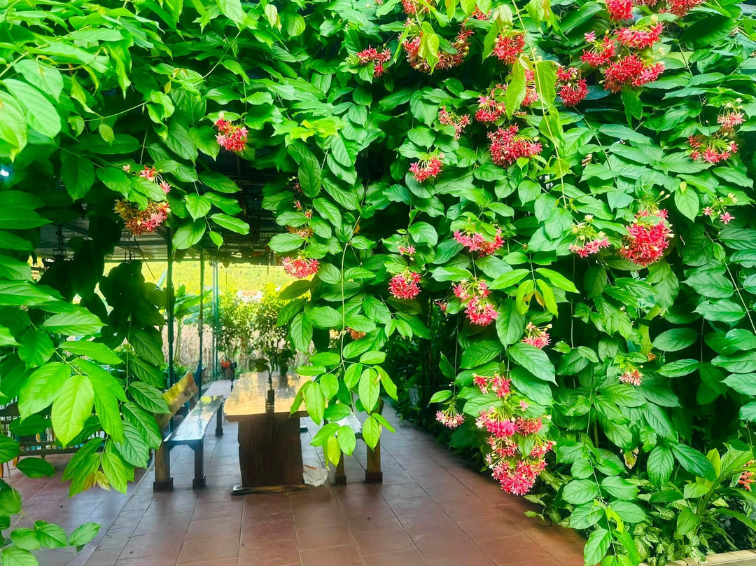 Dong Du Village Farmstay-Nghia Thuan必去景点