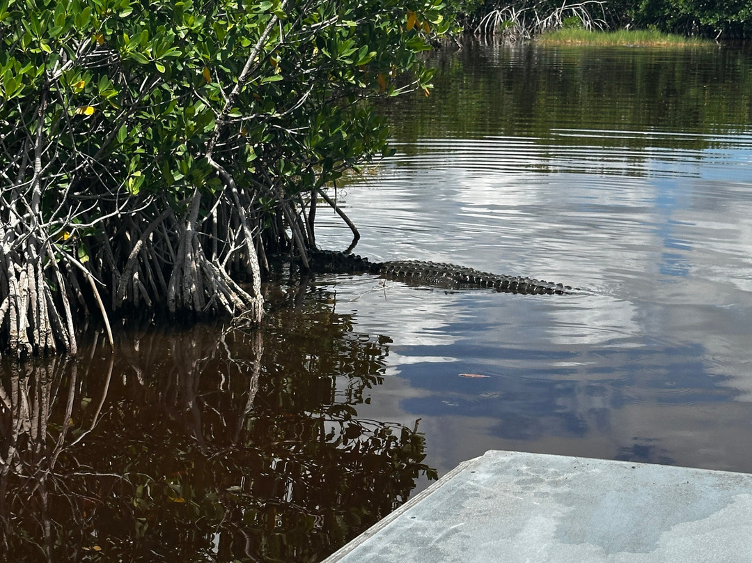 Captain Jack's Airboat Tours-大沼泽地必去景点