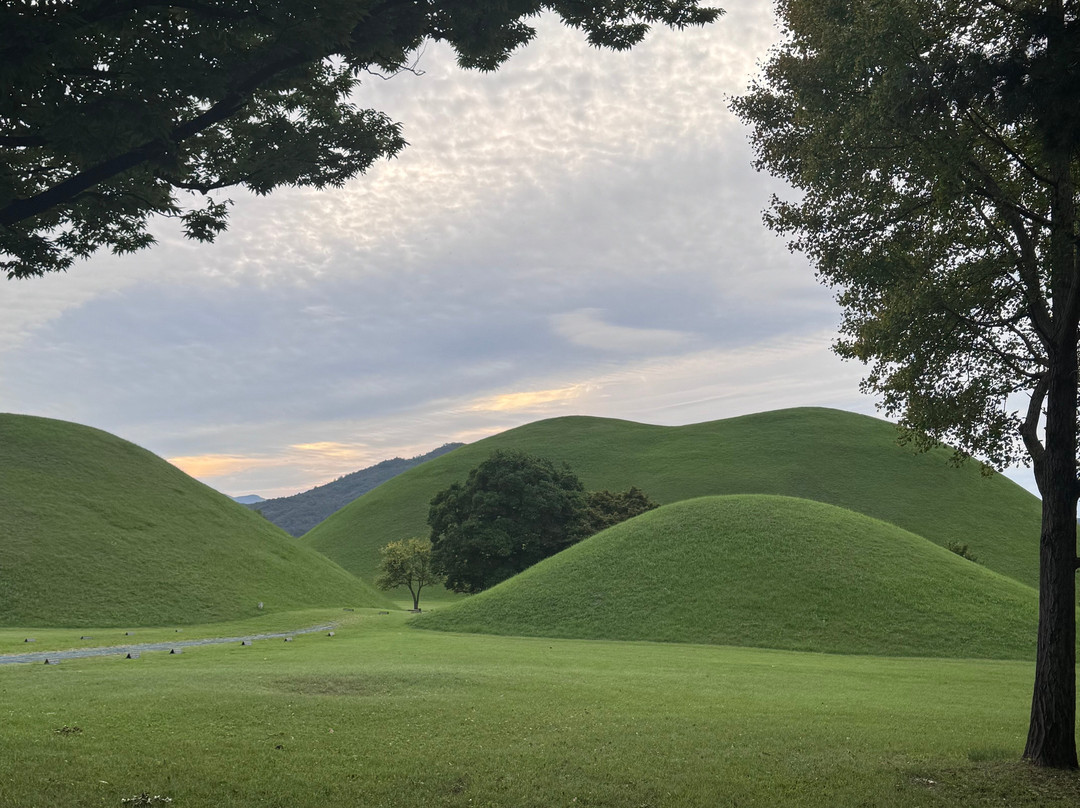 Daereungwon Tomb Complex-庆州市必去景点