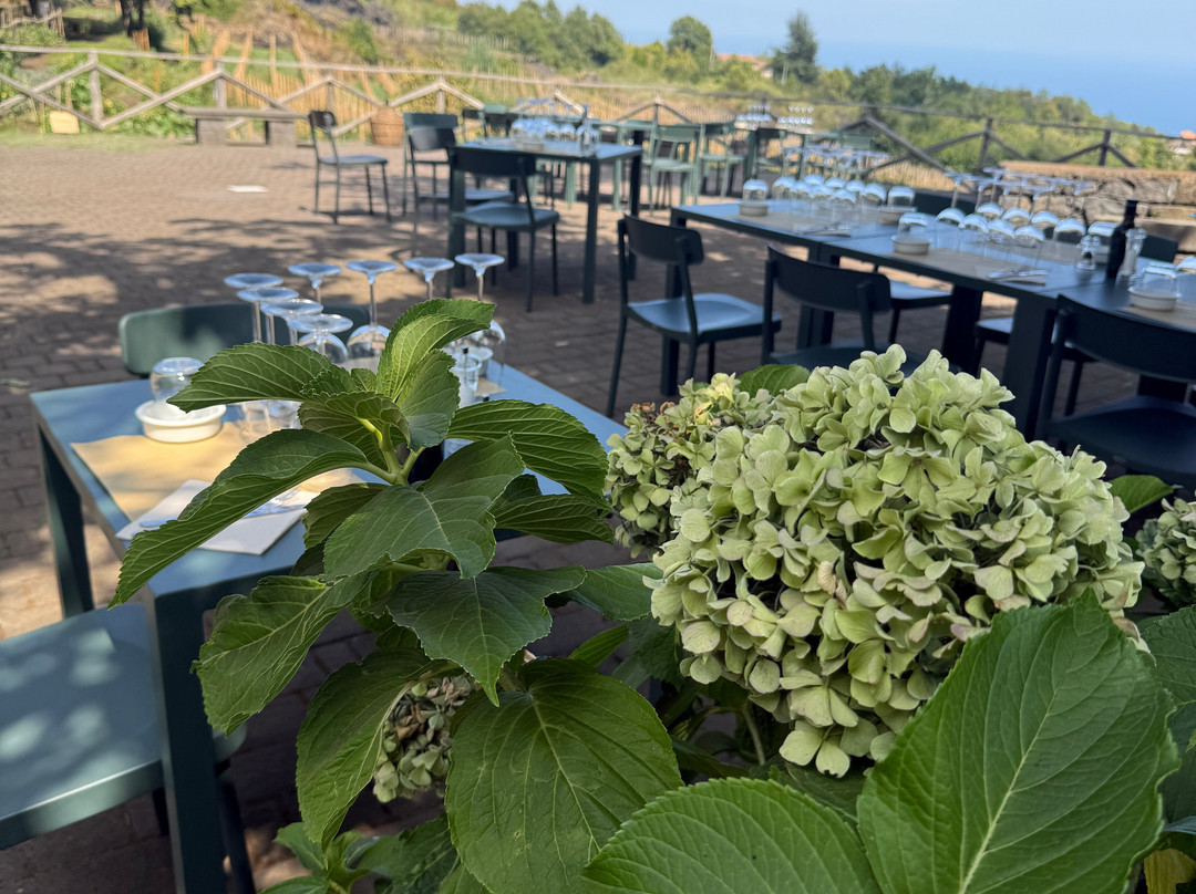 Favazza Etna Winery-Sant'Alfio必去景点