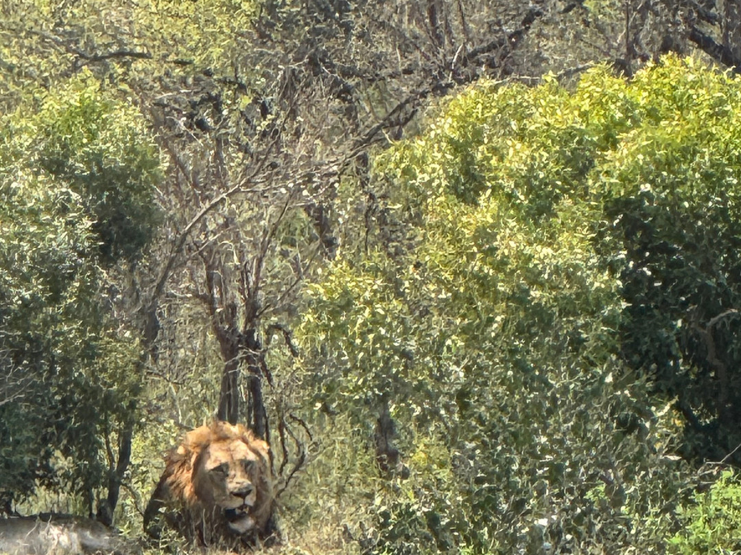 Africa Moja Tours And Safaris-桑顿必去景点