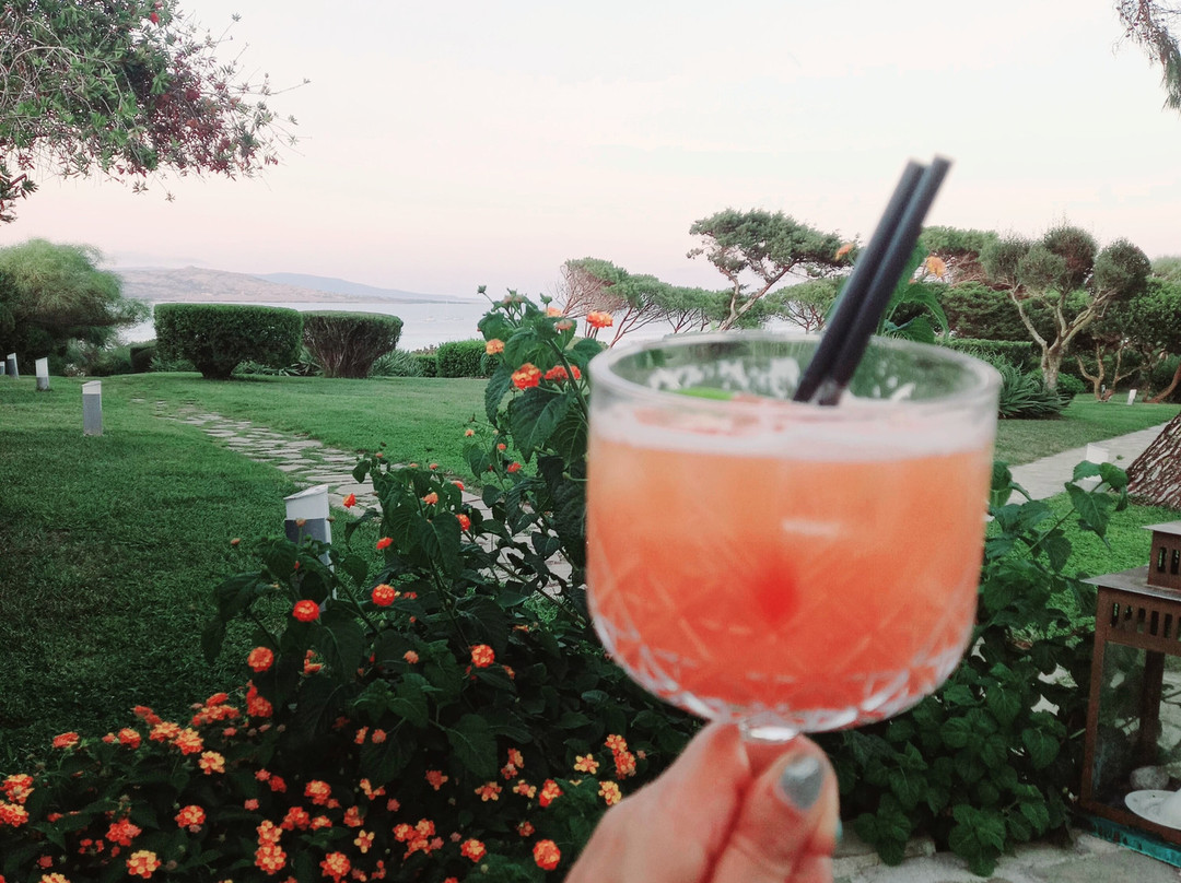 UNA HOTELS Club Hotel Ancora Stintino主图
