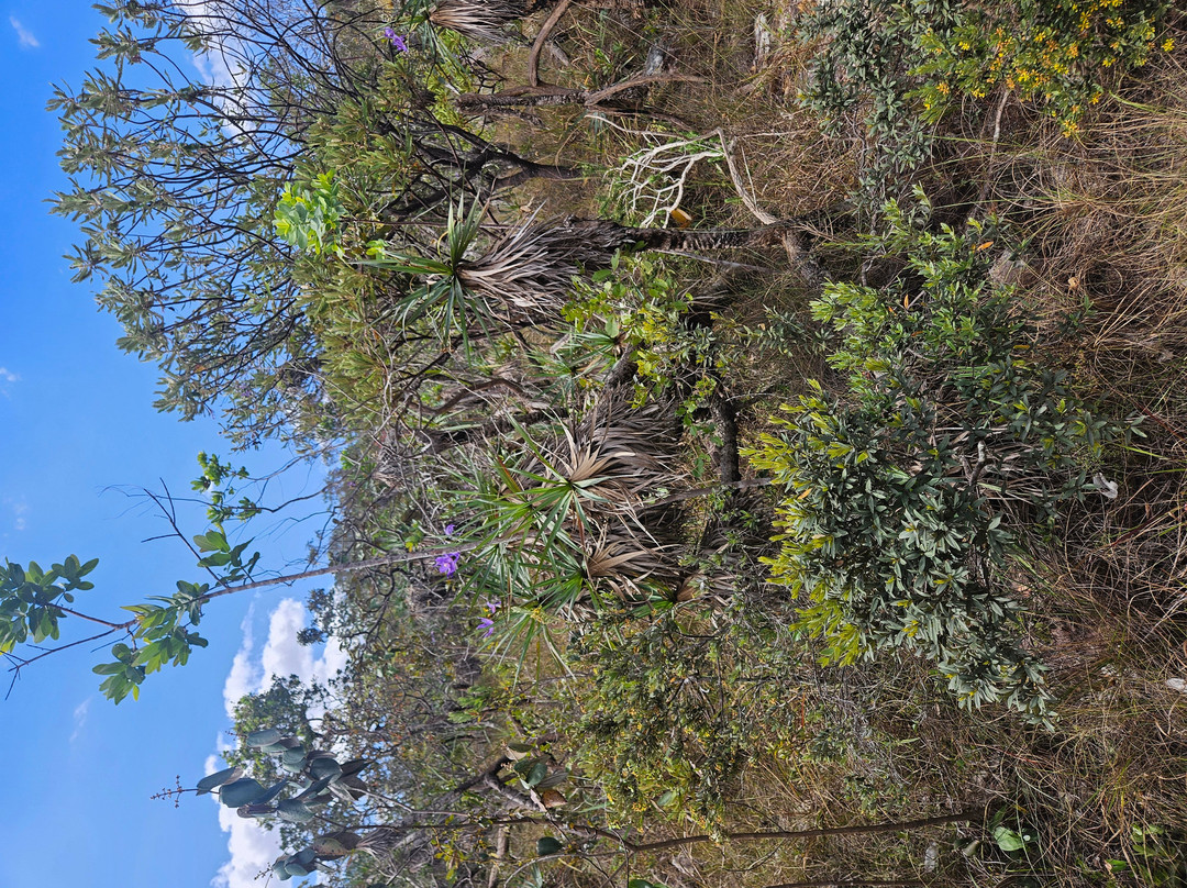 Cachoeira Almécegas II-上帕拉伊苏迪戈亚斯必去景点