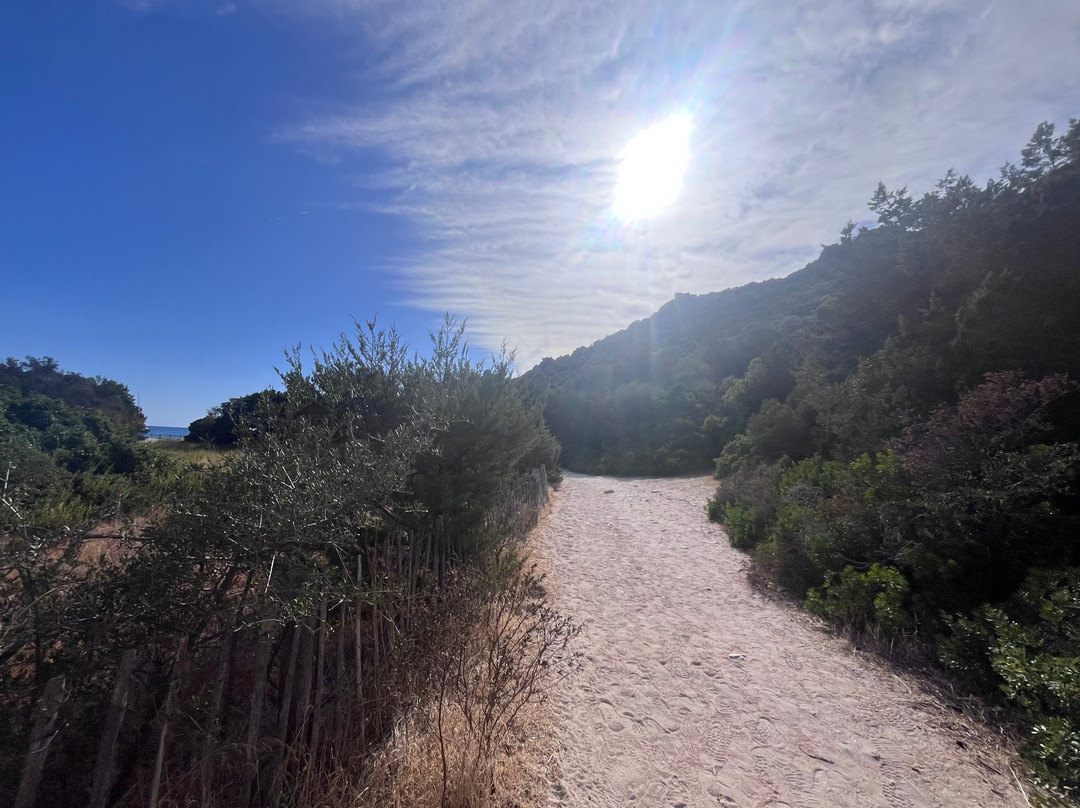 Plage De Roccapina-科西嘉必去景点