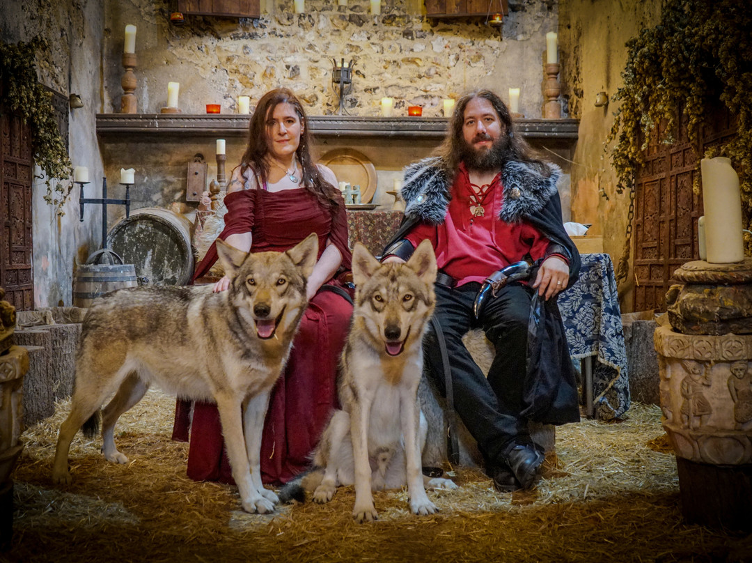 Watermill Wolves Wolf-dog Actors-Bexhill-on-Sea必去景点