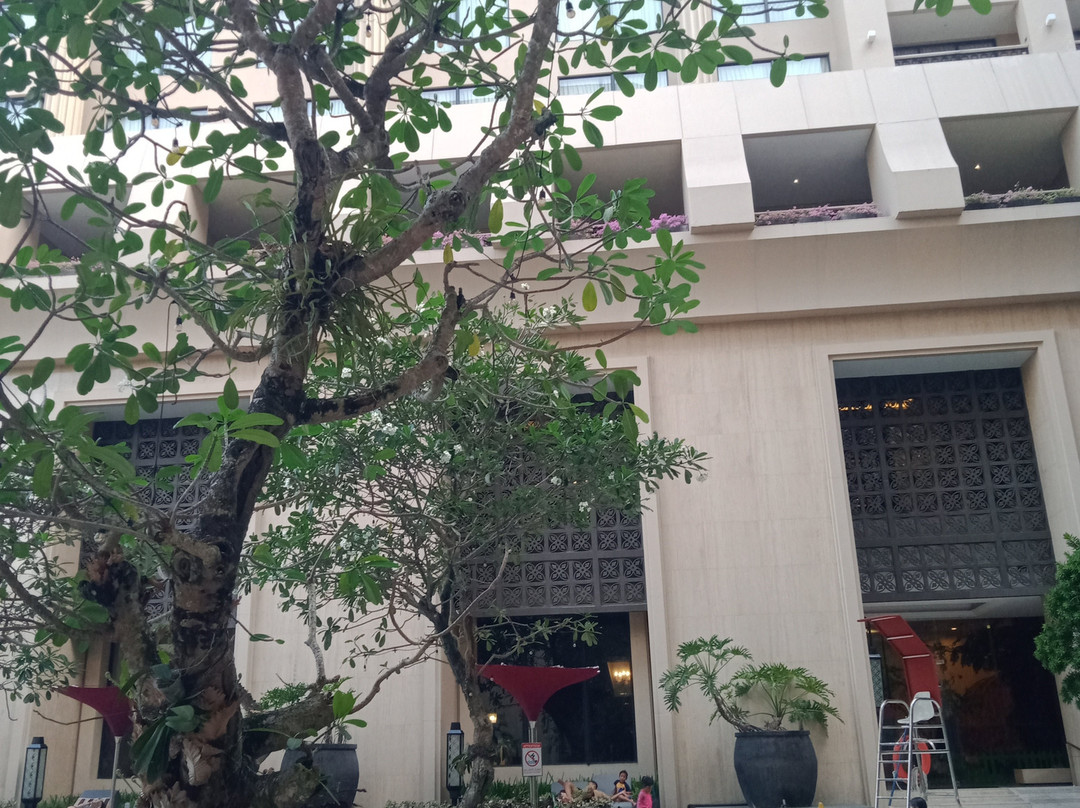 日惹藤特雷马酒店主图