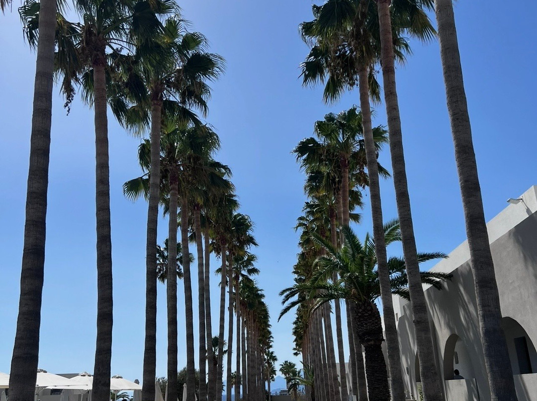 Porto Bello Beach主图