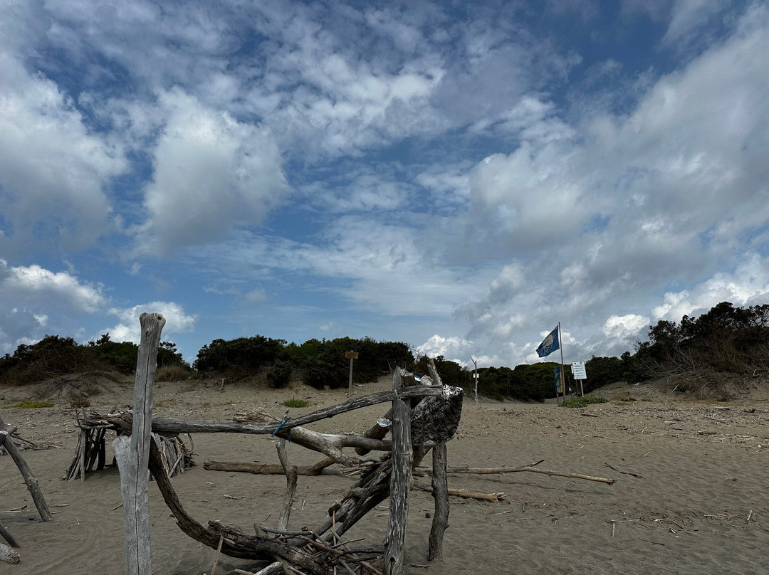 Spiaggia Della Feniglia-奥尔贝泰洛必去景点