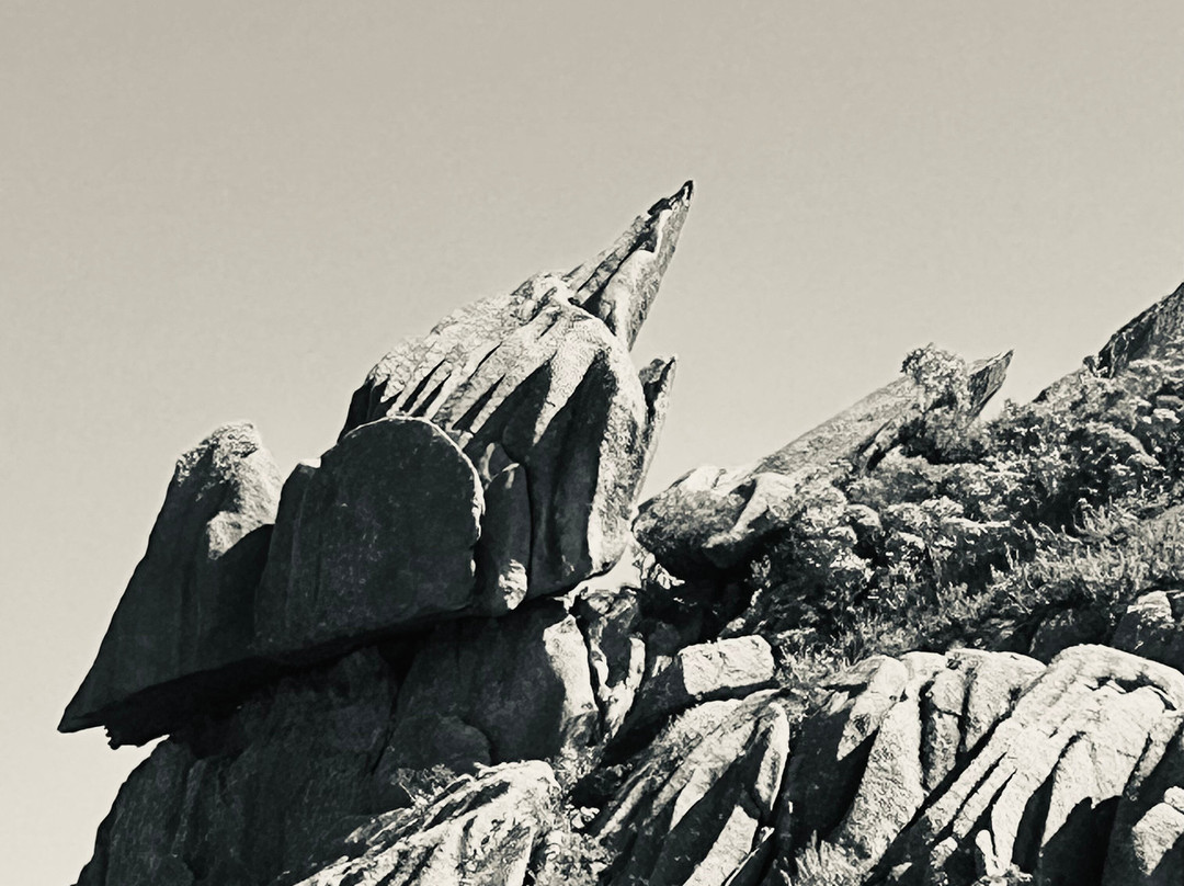 Gute Passeios-Itatiaia National Park必去景点