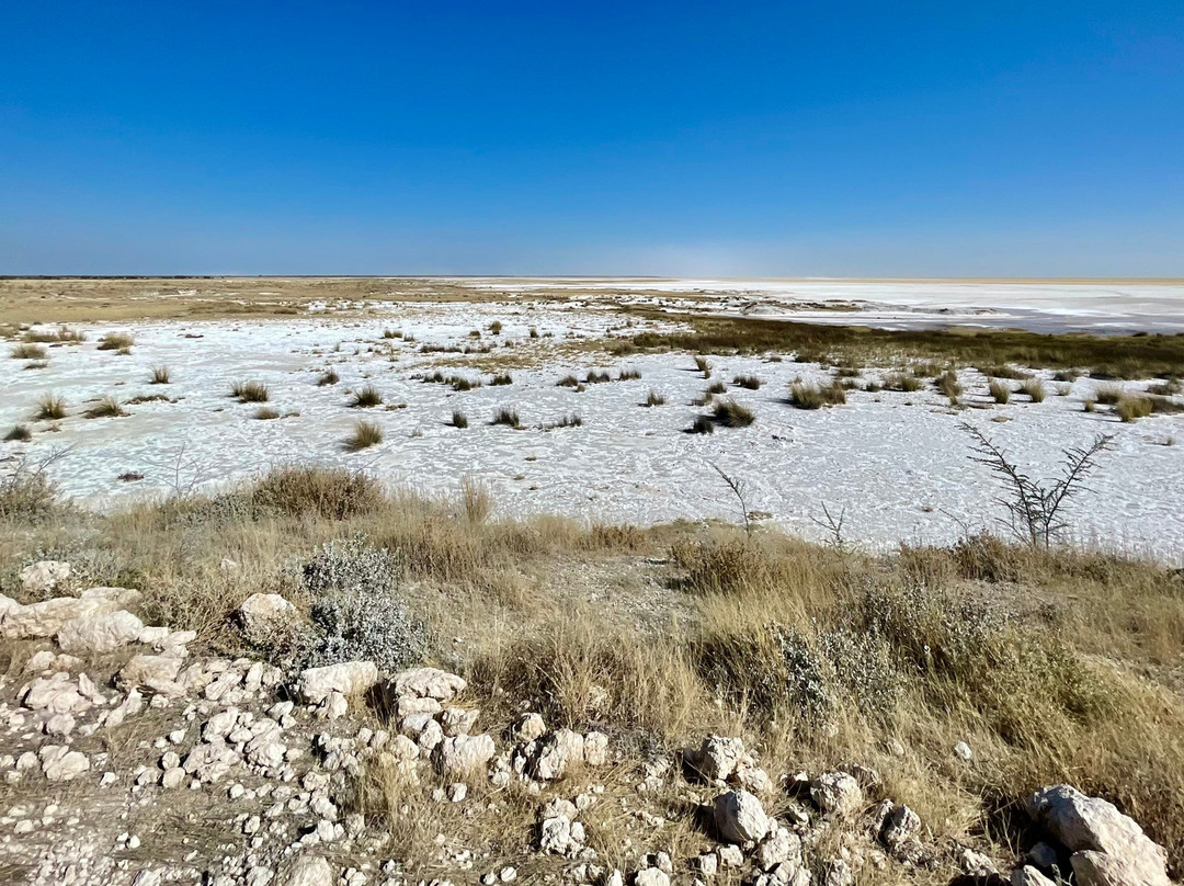Etosha Pan-纳米比亚埃托沙国家公园必去景点