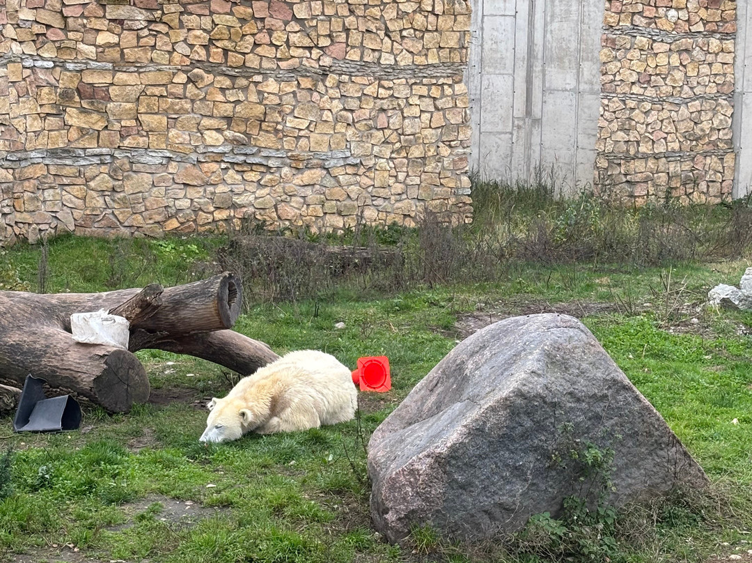 Tallinn Zoo-塔林必去景点