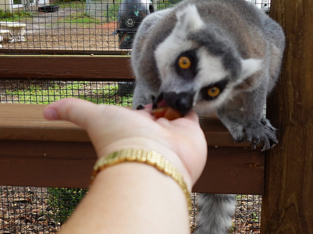 Chase Animal Sanctuary-Webster必去景点