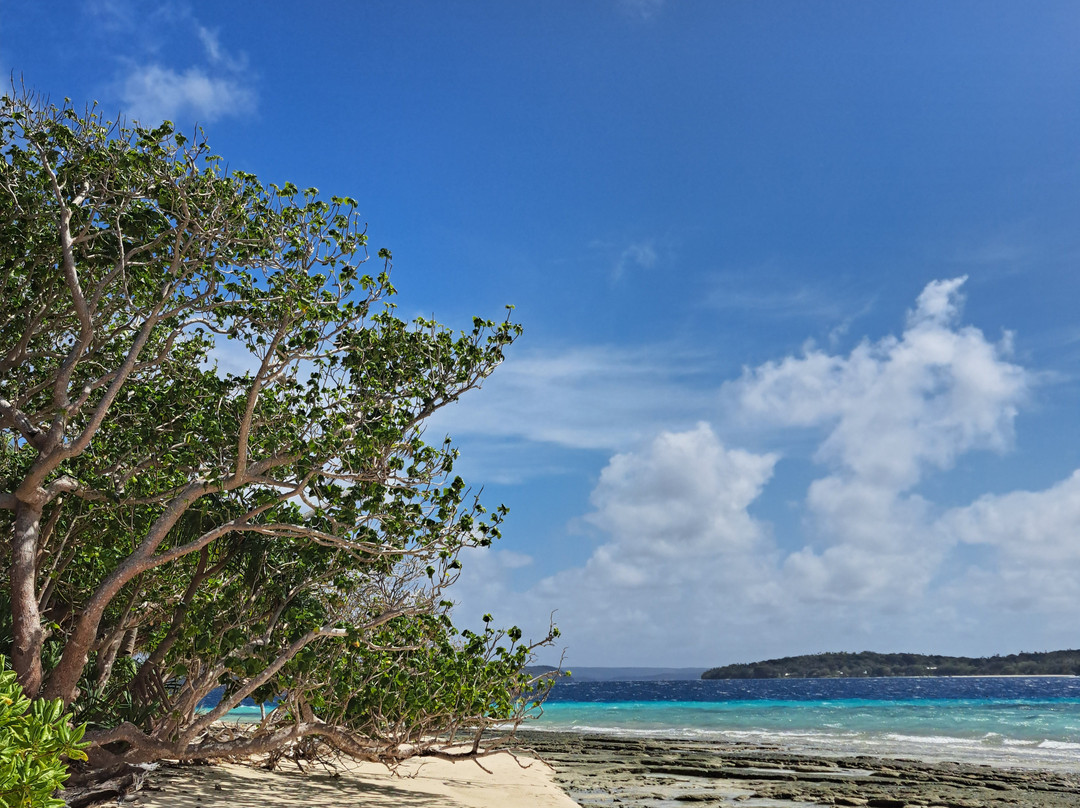 Treasure Island Eueiki Eco Resort主图
