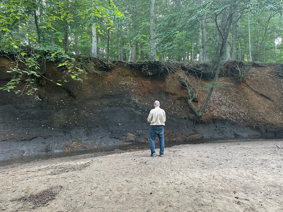 Poricy Park Fossil Beds