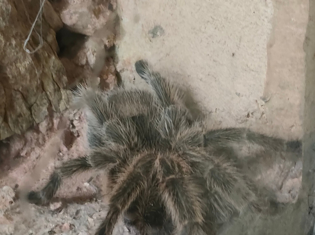 Reptile Park-瓦卡沃夫必去景点