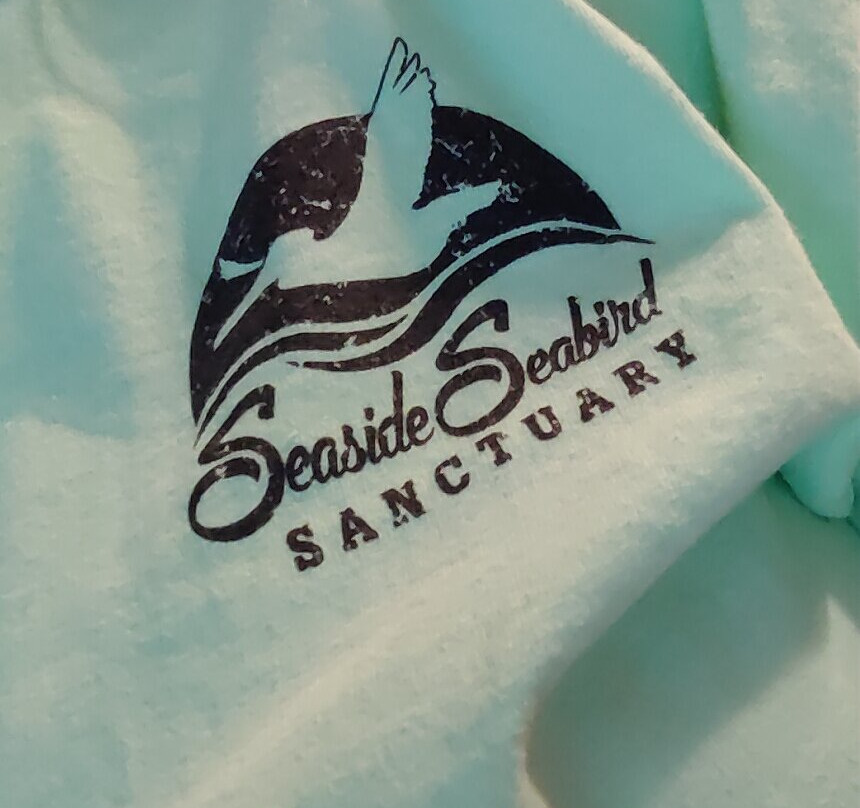 Seaside Seabird Sanctuary-Indian Shores必去景点