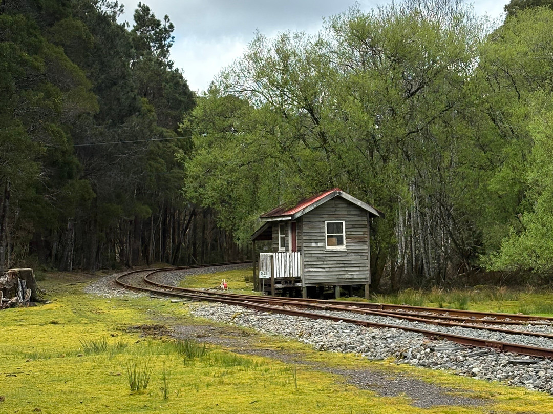 West Coast Wilderness Railway-皇后镇必去景点