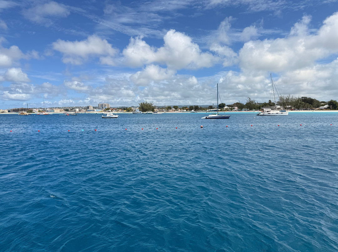 Cool Runnings Catamaran Cruises-布里奇顿必去景点