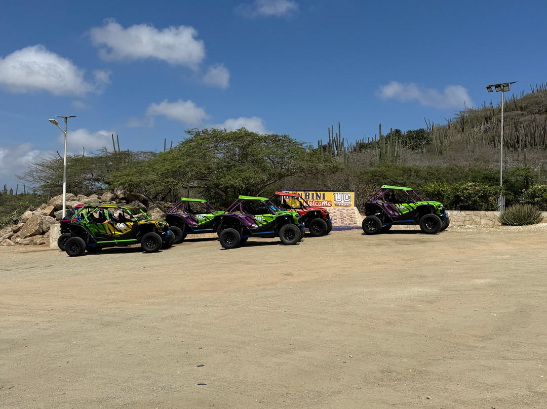 ABC Tours Aruba-奥腊涅斯塔德必去景点