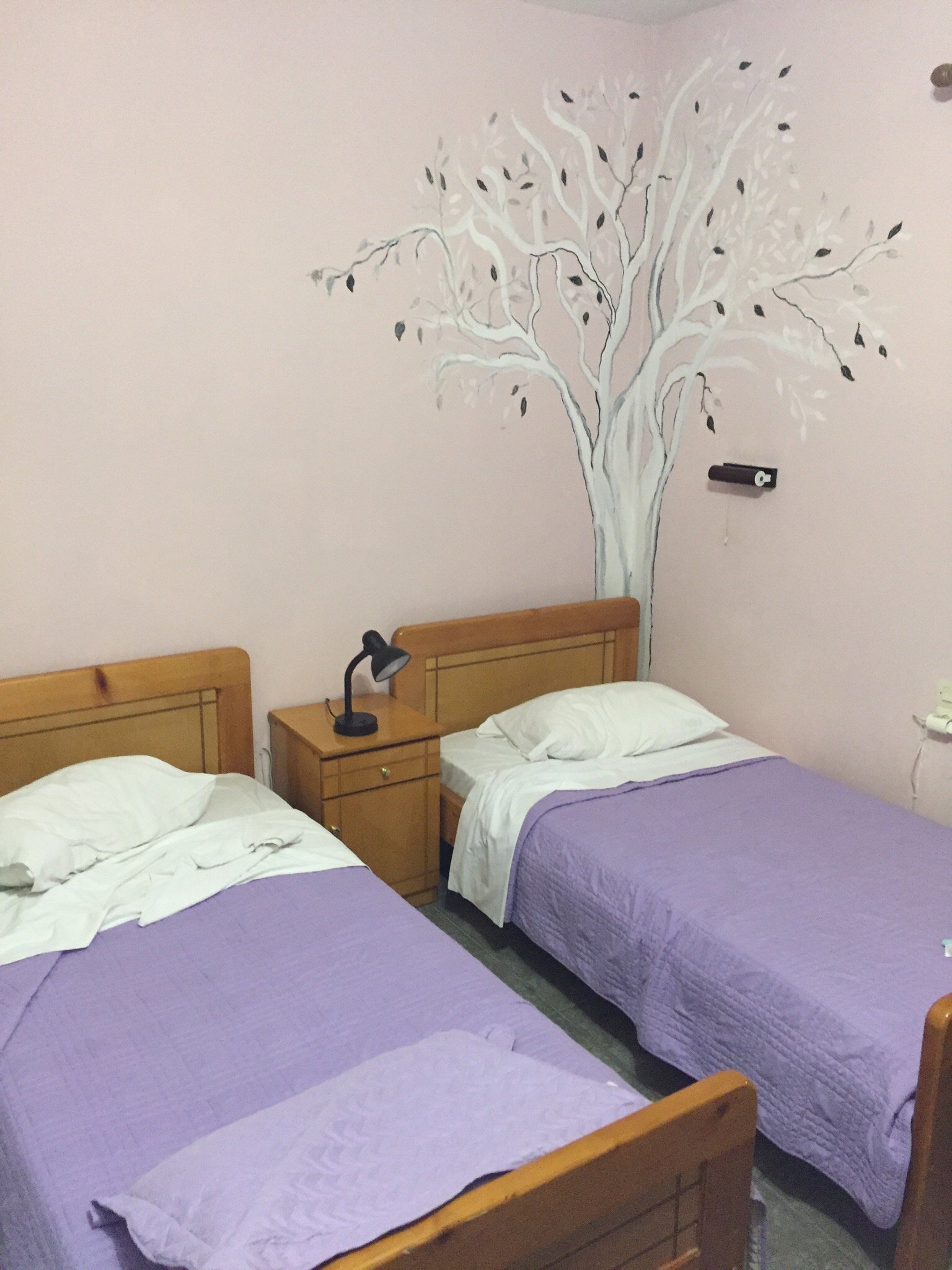 Sofia Rooms-官方