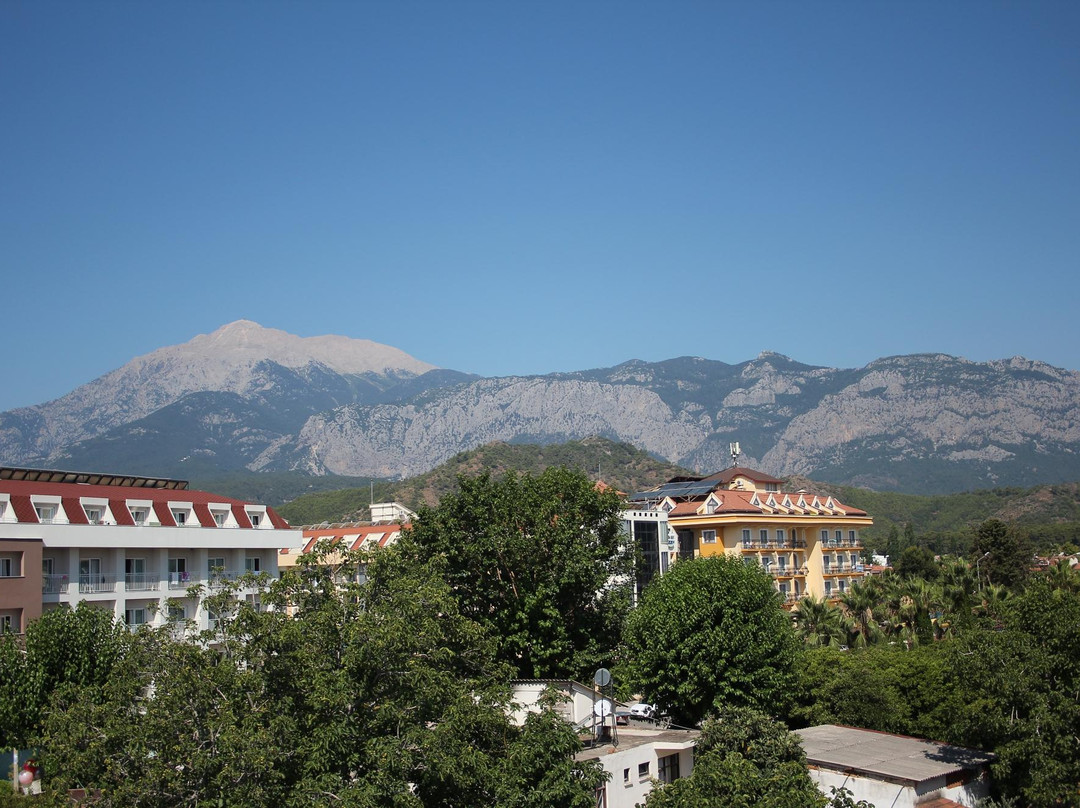 Stardust Beach Hotel