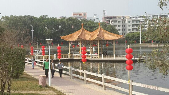 新湖公园景点图片