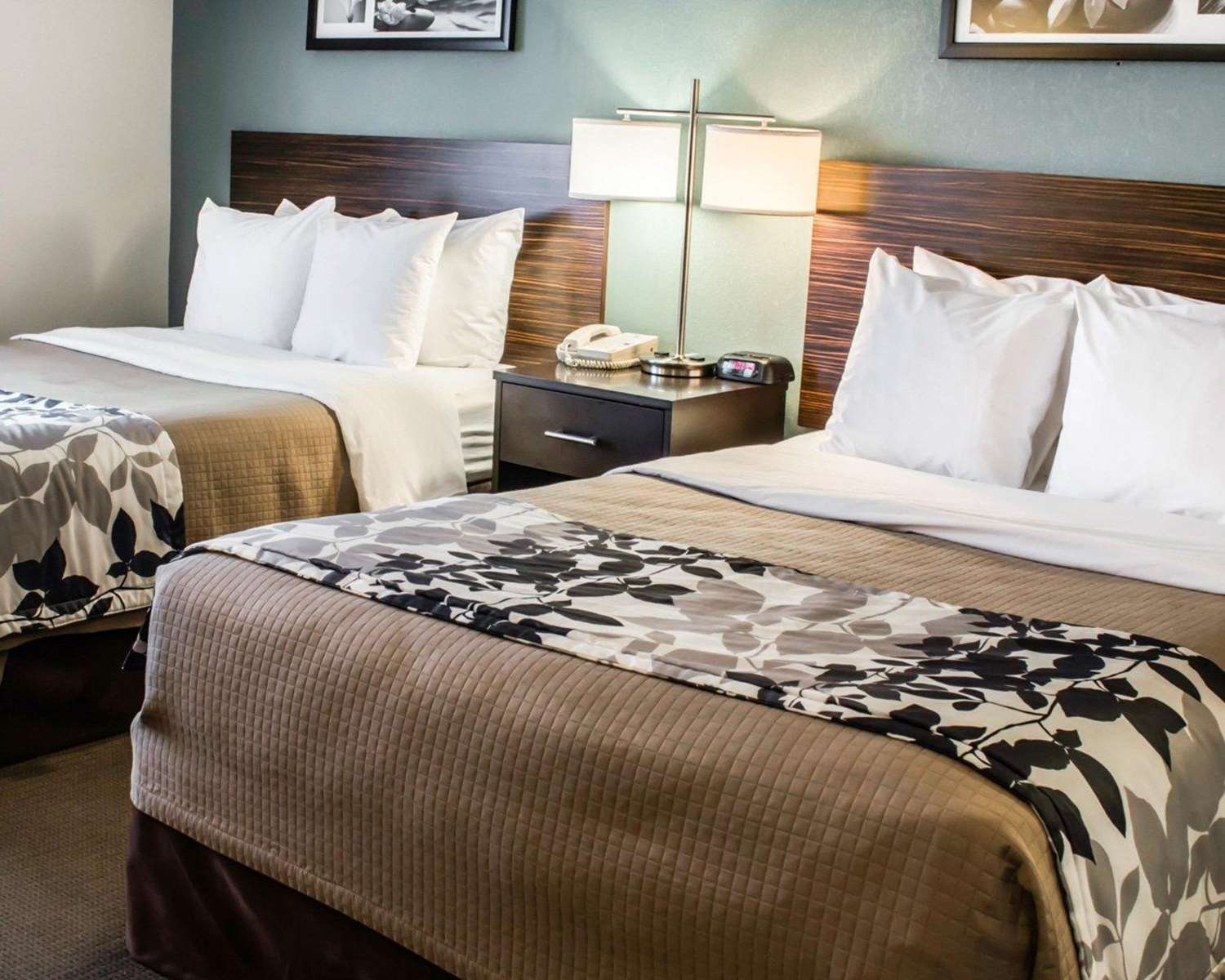 Sleep Inn & Suites Monticello-官方