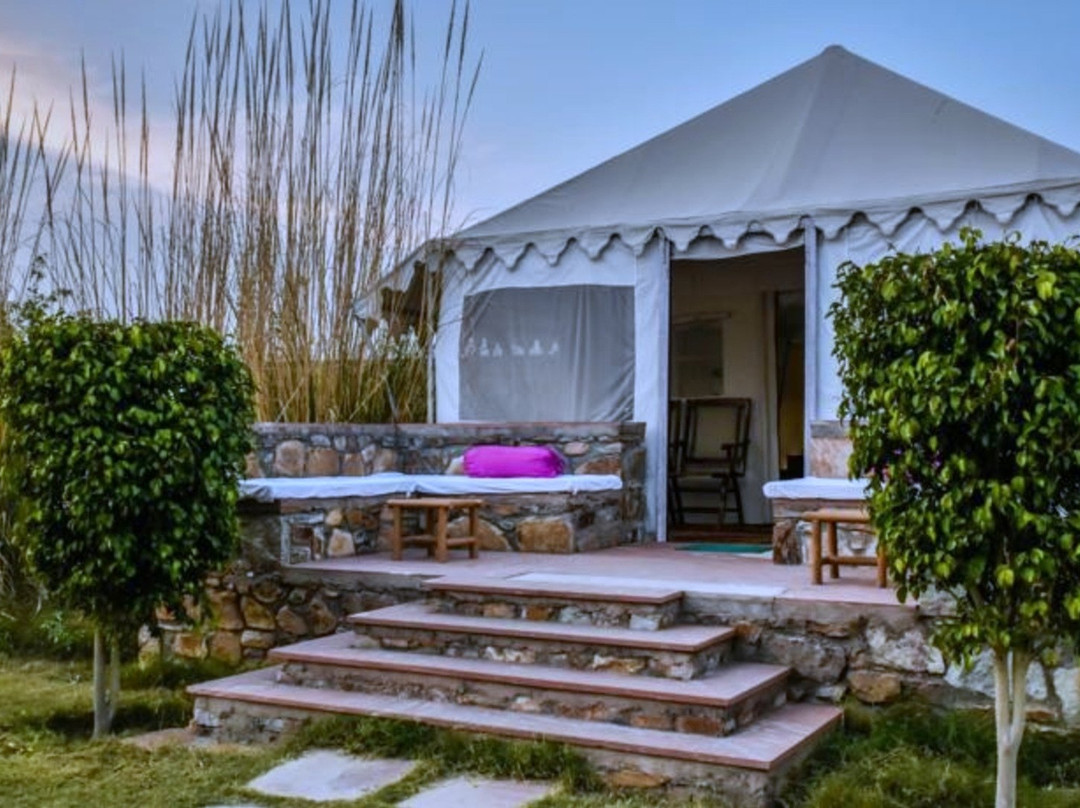 Ranwal酒店住宿-Sultan Bagh Jungle Camp