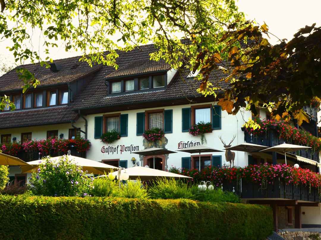 Kleines Wiesental酒店住宿-Gasthof Hotel Hirschen