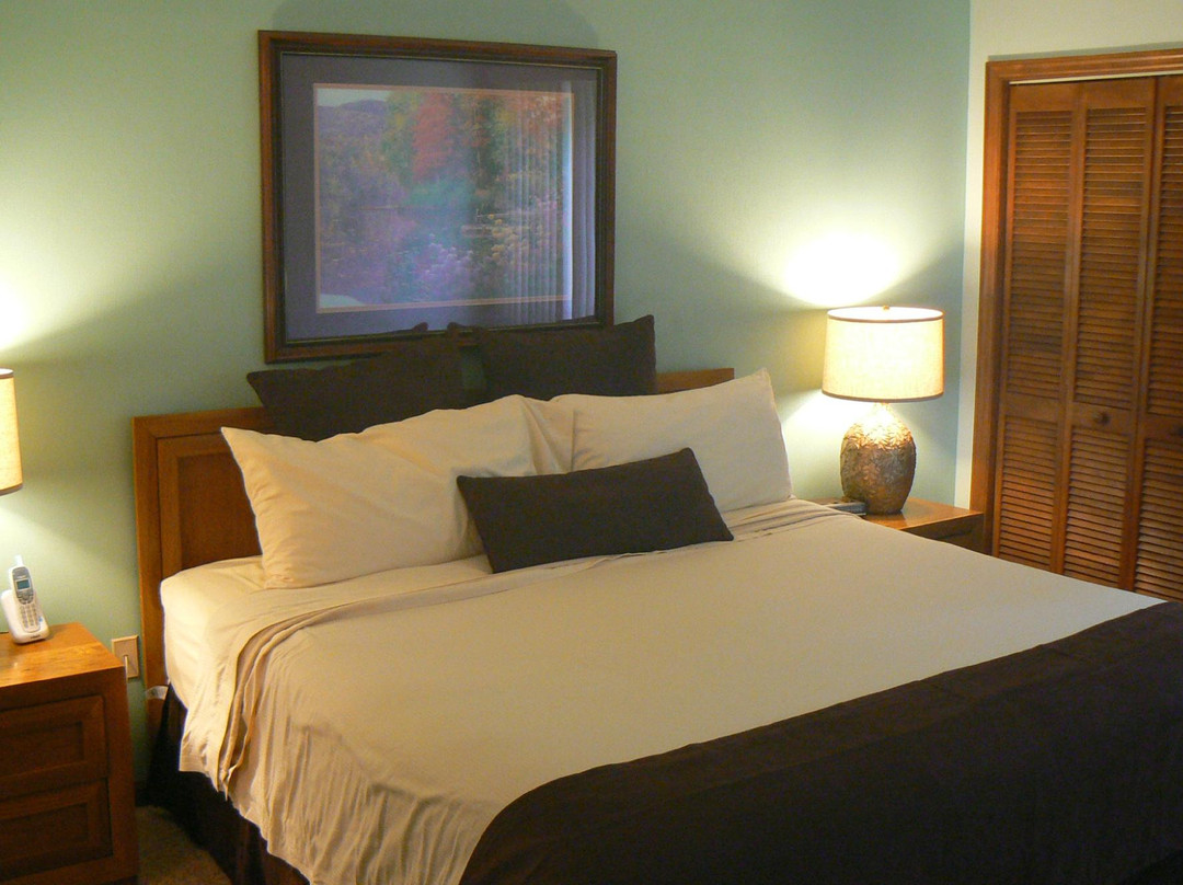 Lake Lure酒店住宿-Fairways of the Mountains