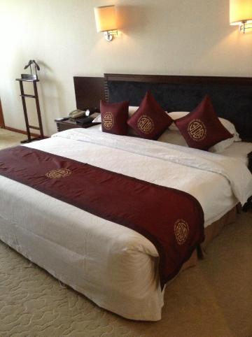 军安王朝大酒店-客卧