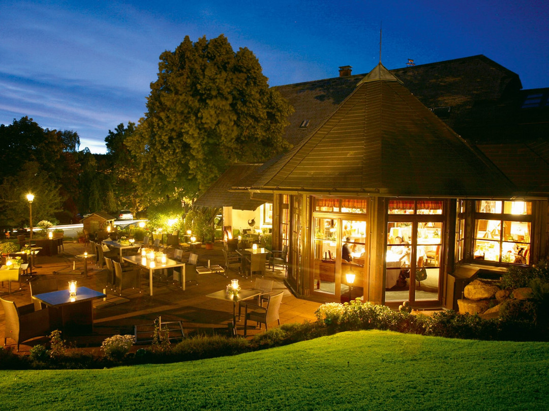 Furtwangen酒店住宿-Hotel Zum Ochsen