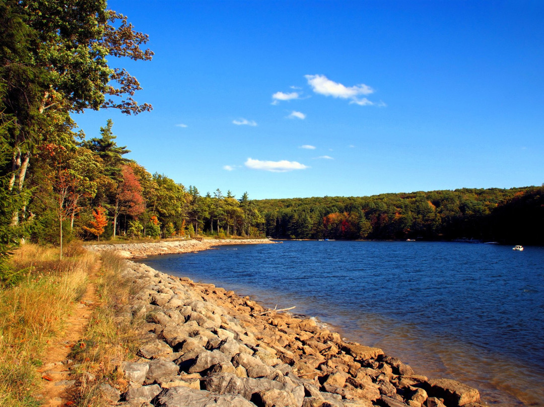 Deep Creek Lake State Park景点图片