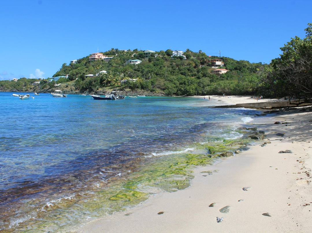 Hull Bay-圣 托马斯必去景点