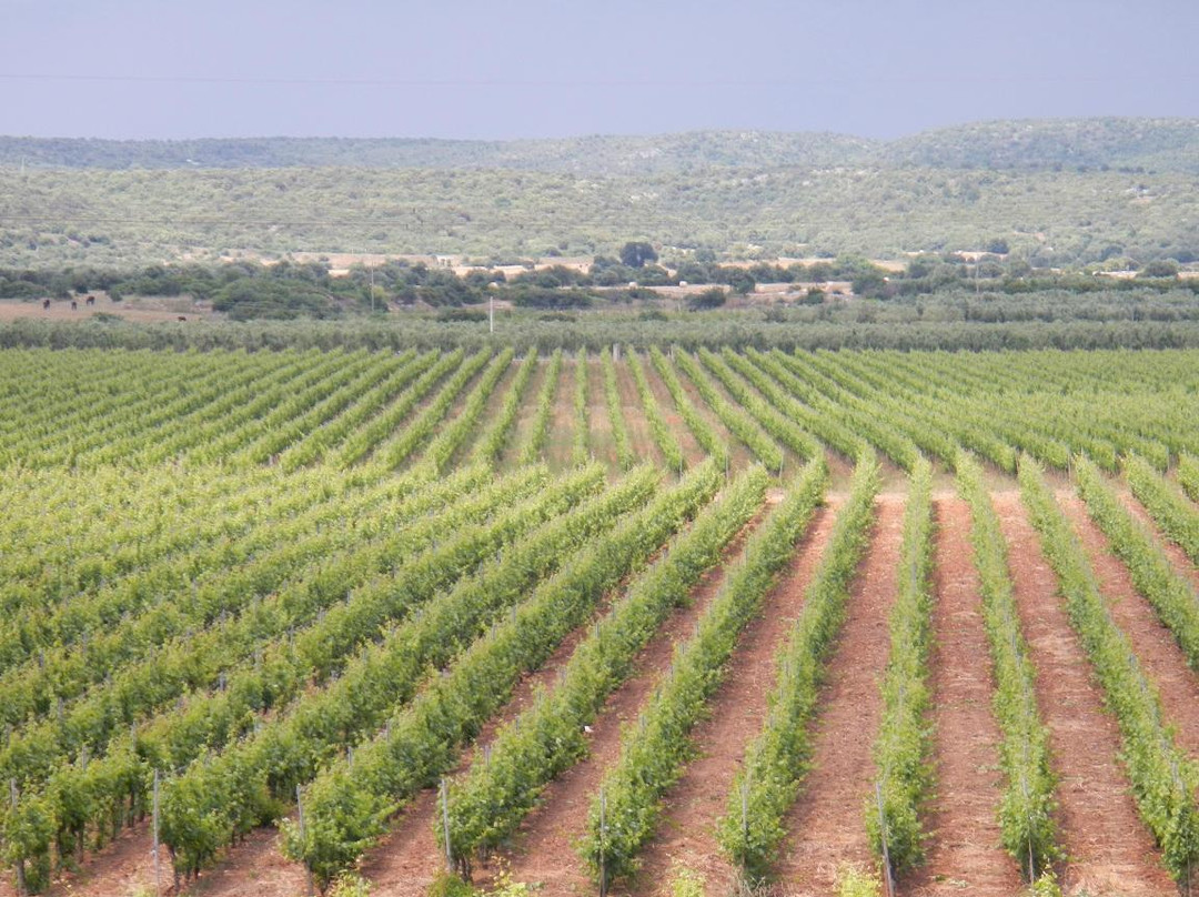 Province of Taranto旅游景点-Cantine Le Pajare