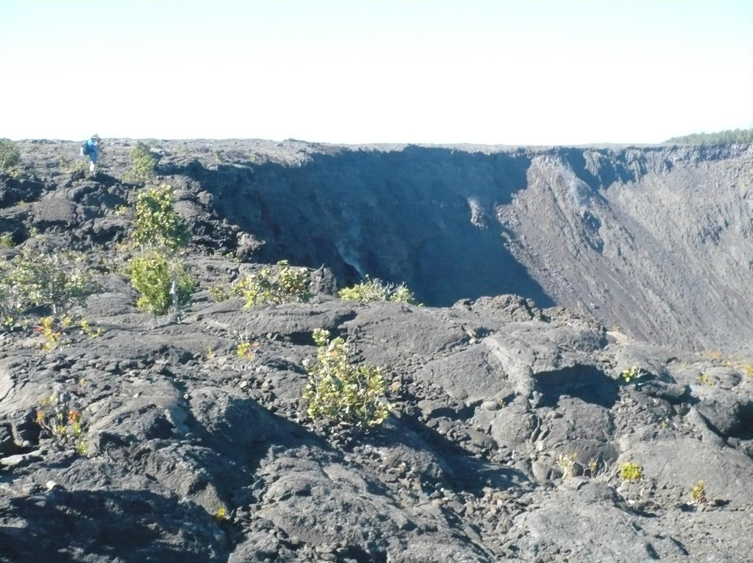 Napau-Makaopuhi Crater Trail景点图片