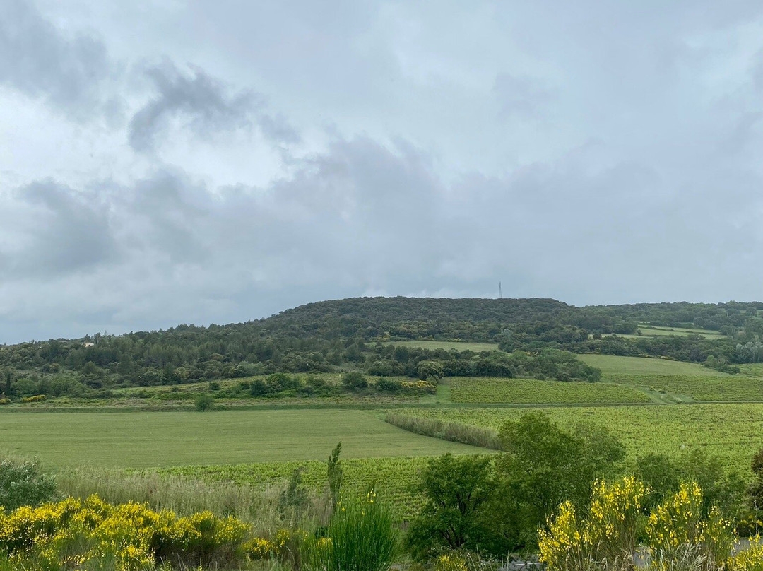Golf Drôme Provençale-Clansayes必去景点